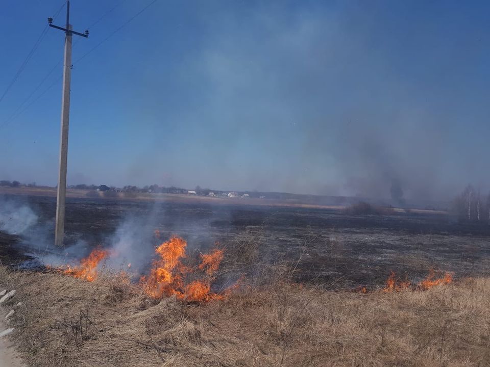 НА ВОЛИНІ ПОНАД 120 ПОЖЕЖ ЗА ТИЖДЕНЬ ЧЕРЕЗ ПІДПАЛ СУХОСТОЮ