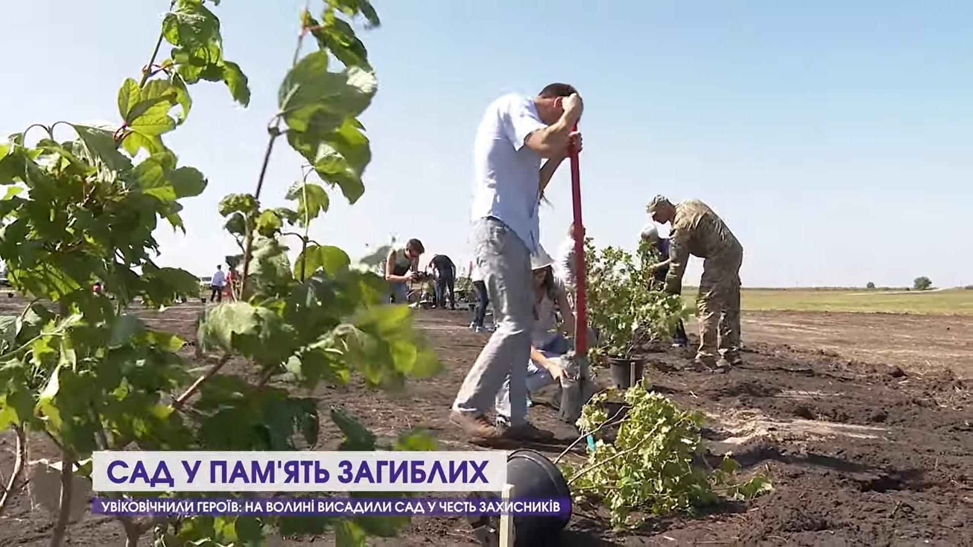 Увіковічнили Героїв: на Волині висадили сад у честь захисників