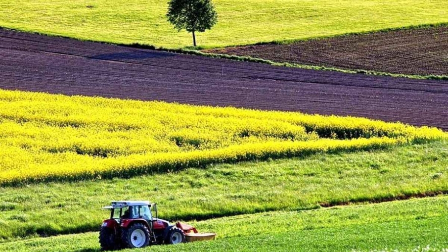 Порядок денний засідання постійної комісії з питань сільського господарства, продовольства, земельних відносин