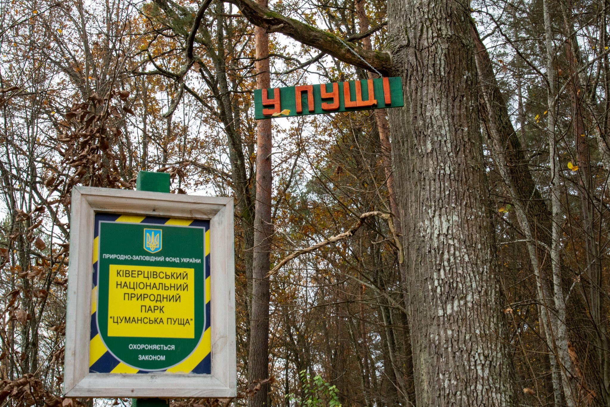 У ЛІС – НЕ ТІЛЬКИ ПО ГРИБИ, А Й ЗА … ЗНАННЯМИ