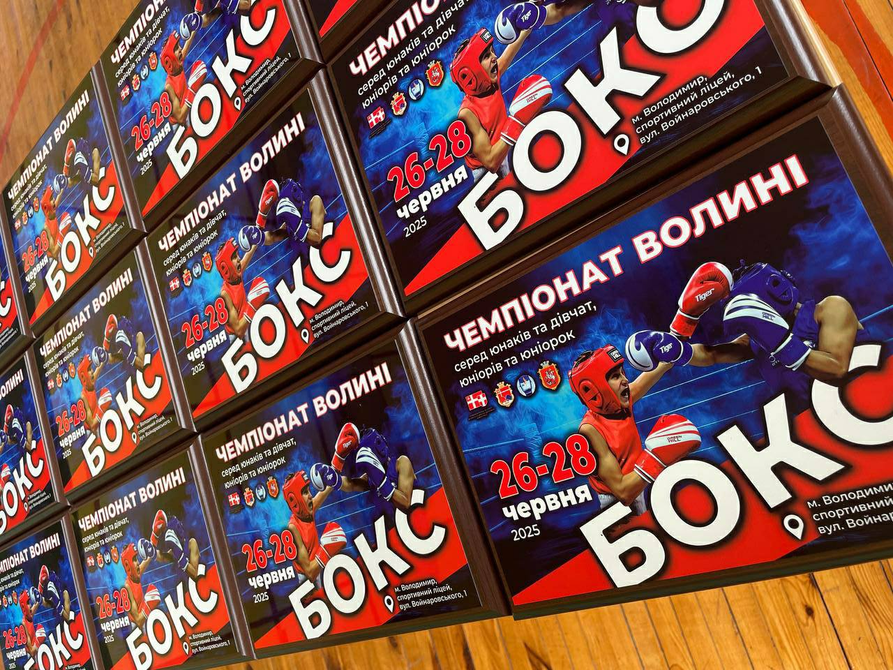 ВОЛОДИМИРСЬКИЙ СПОРТЛІЦЕЙ ПРИЙМАЄ БОКСЕРСЬКУ ПЕРШІСТЬ ВОЛИНІ – 2025