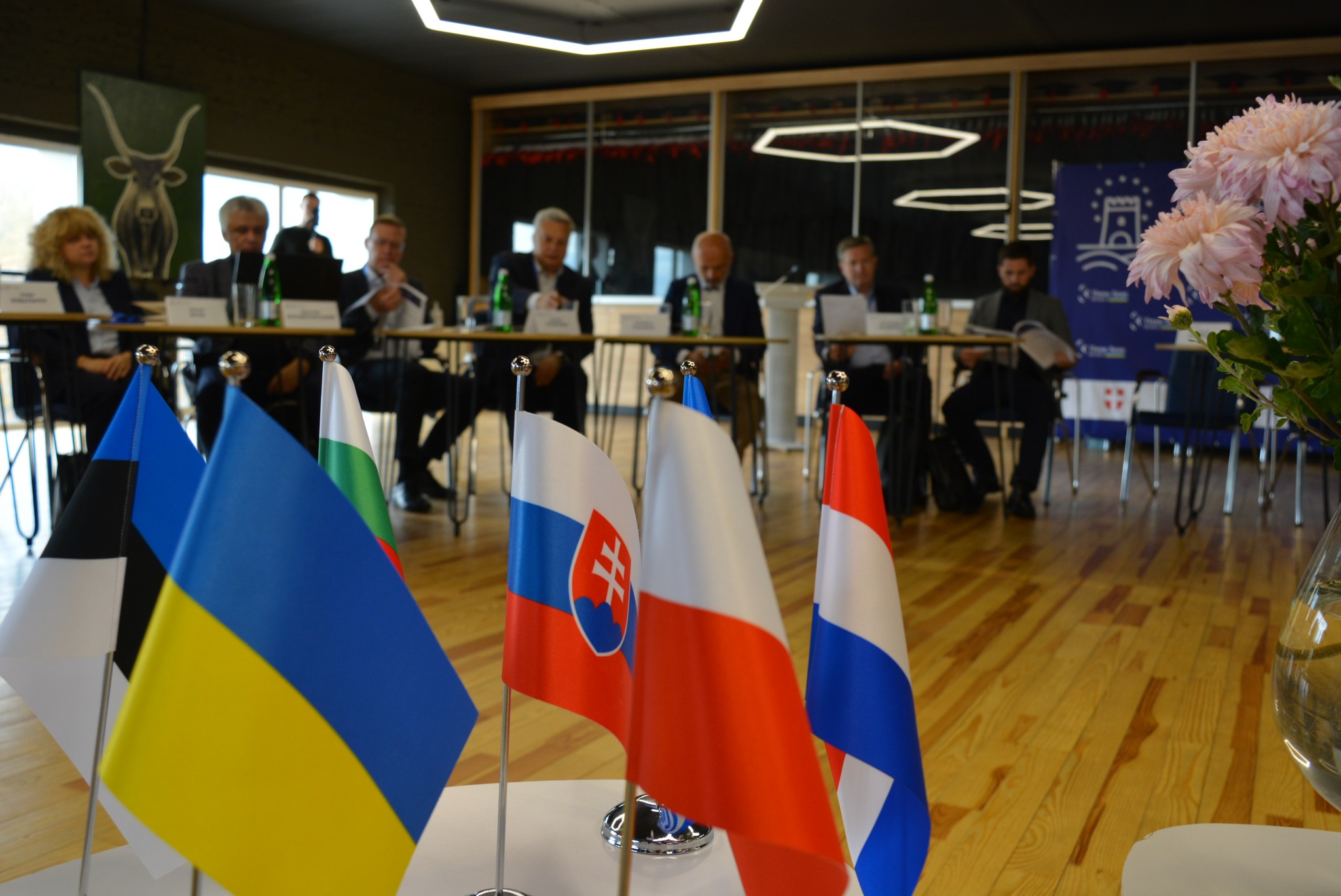 3SI: РЕГІОНИ, ЯКІ З’ЄДНУЮТЬ ЄВРОПУ. ВОЛИНСЬКИЙ МІСТ.