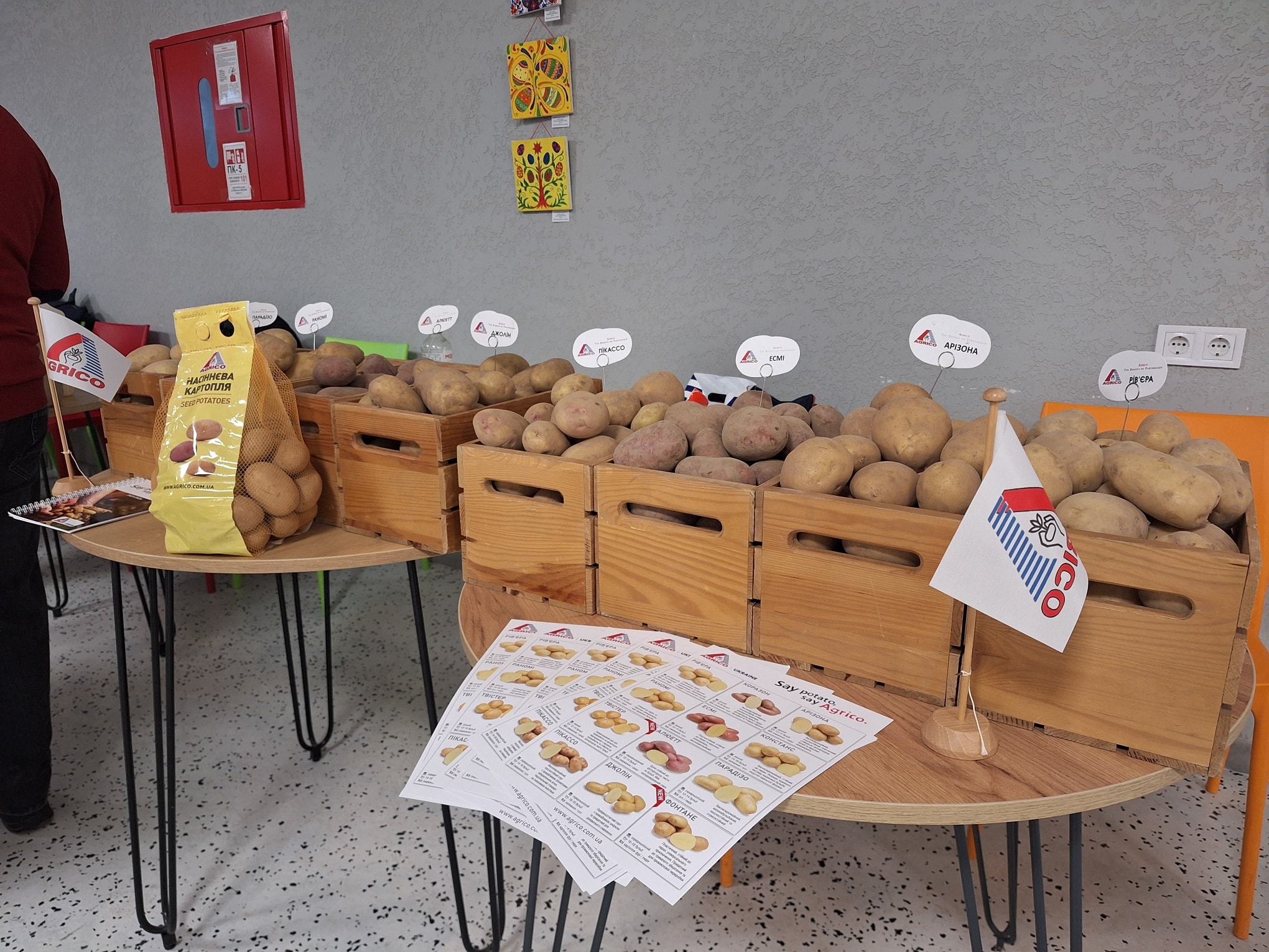 РОЗВИТОК КАРТОПЛЯРСТВА НА ВОЛИНІ: СТАН ТА ПЕРСПЕКТИВИ ГАЛУЗІ