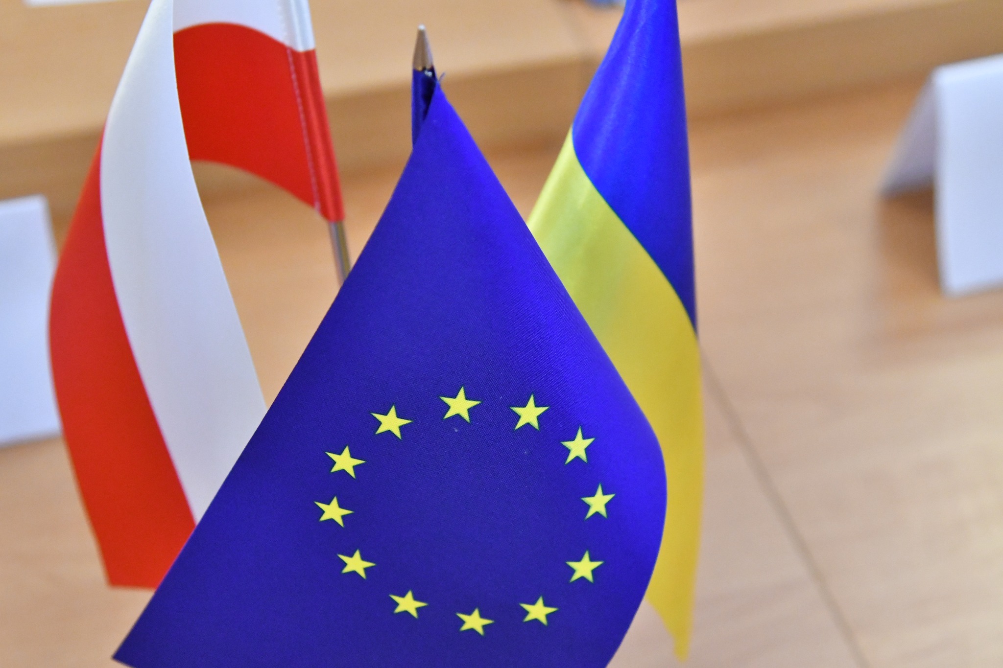 У ПОШУКАХ ПАРТНЕРСТВА: ВОЛИНЬ ТА ІНОВРОЦЛАВ ПРОВЕЛИ ПРЕЗЕТАЦІЙНУ ЗУСТРІЧ