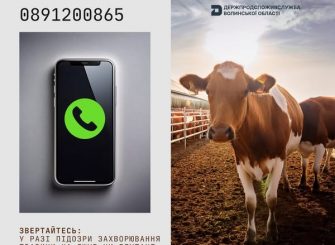 493318887_990295279954985_932805296058368074_n