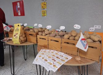 590221613_1159821936335651_4810244638553798235_n